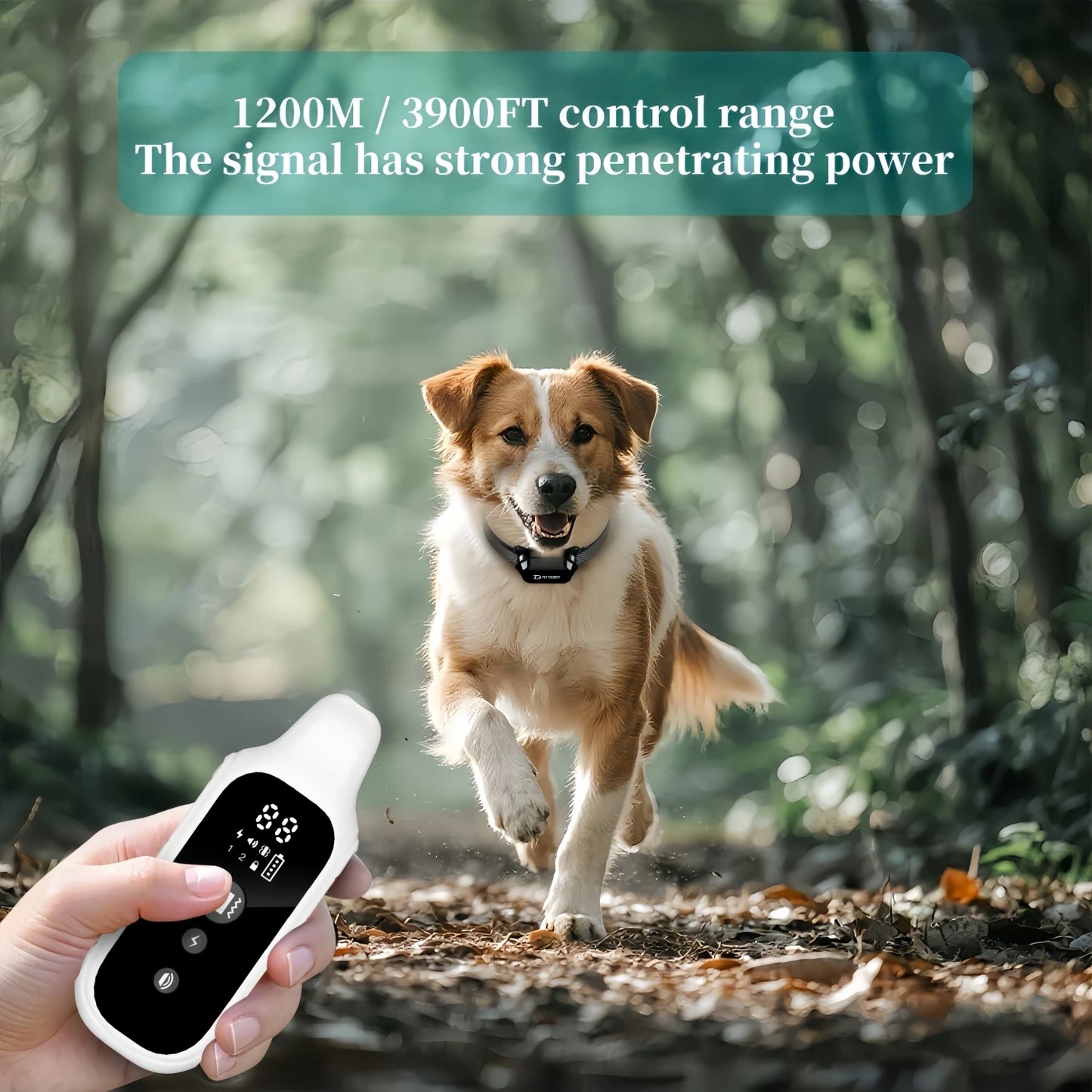 800m Digital Dog Training Collar Waterproof