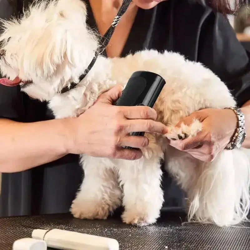 Dog Brush Pet Hair Removal Brush Multifunctional